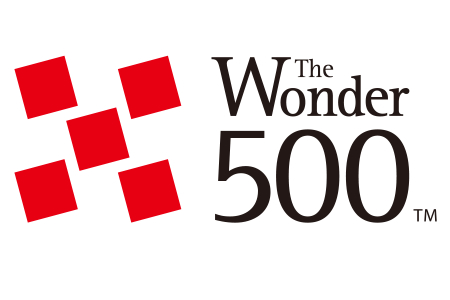 THE WONDER 500